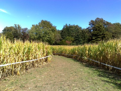 10 Picture Perfect Fall Day Trips To Take In Maryland