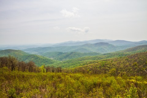 8 Picture Perfect Fall Day Trips To Take Near DC