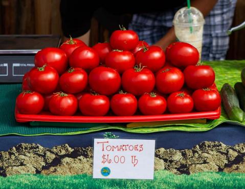 Everyone in Alaska Must Visit This Epic Farmers Market At Least Once