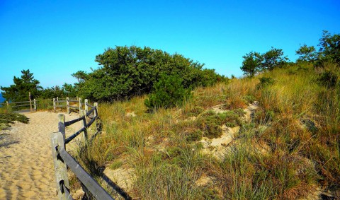 The Awesome Hike In Delaware That Will Take You Straight To An Abandoned Fort