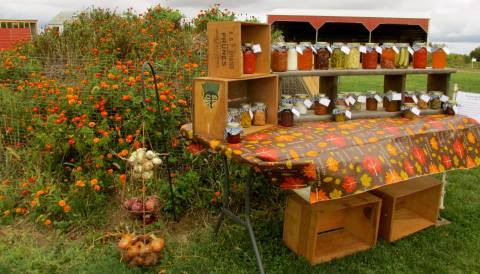 A Super Fun Iowa Farm Crawl You Need To Do This Fall