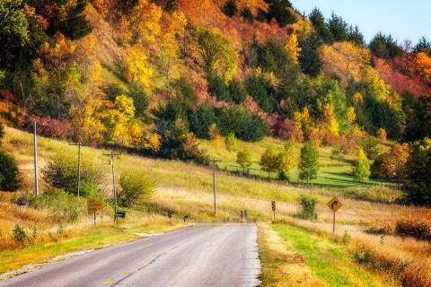 Here Are The Best Times And Places To View Fall Foliage In Iowa