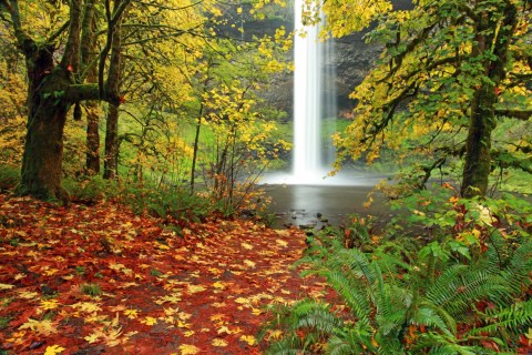 10 Magical Waterfalls Await You At This Park Near Portland