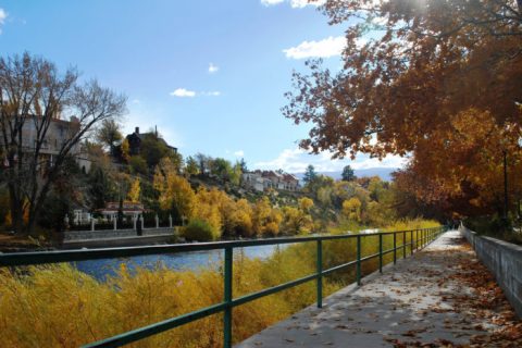 Here Are The Best Times And Places To View Gorgeous Fall Foliage In Nevada