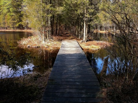 This Haunted Hike In New Jersey Will Send You Running For The Hills