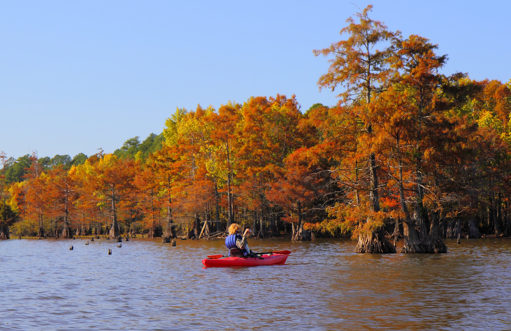 Louisiana banner image