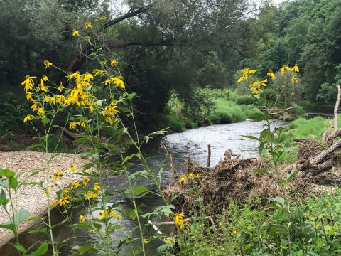 The Relaxing Iowa Hike That Is Just What You Need