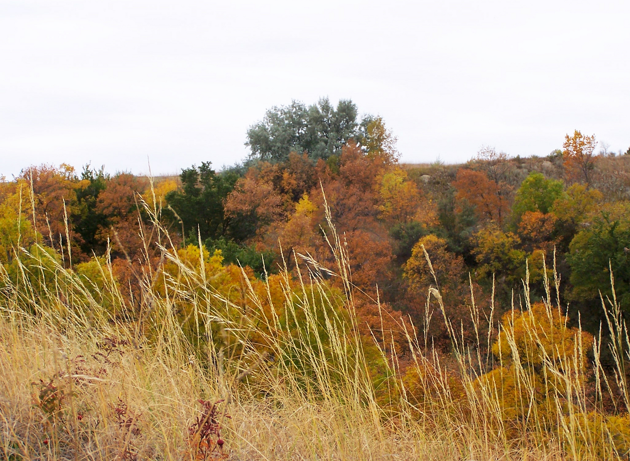 North Dakota banner image