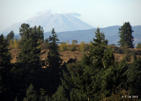 This Little Known Portland Park Is Hiding Some Of The Best Views Around