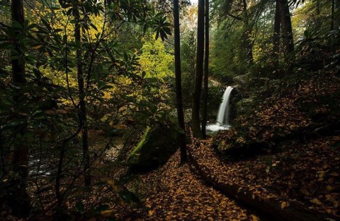 The Trail Leading To This Enchanting Waterfall Is The Perfect Kentucky Hike In The Fall