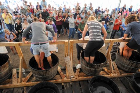 This Quirky Festival May Be The Most Unique Celebration In Minnesota