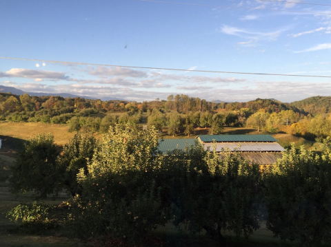 The Best Pie In Tennessee Can Be Found At This Charming Orchard