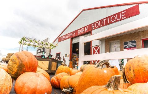 12 Harvest Festivals In Minnesota That Will Make Your Autumn Awesome