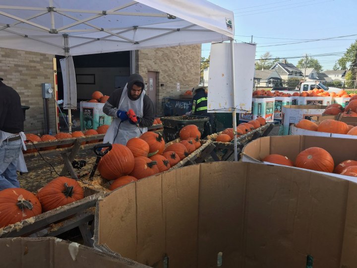 Great Highwood Pumpkin Festival A Giant Pumpkin Festival In IL