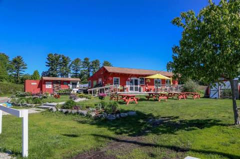 This Adorable New Hampshire Farm Makes The Most Amazing Cider Donuts