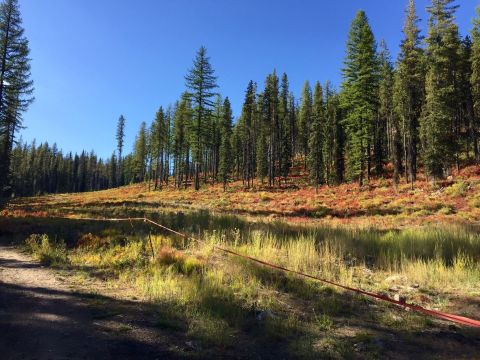 The One Hikeable Lake In Idaho That's Simply Breathtaking In The Fall