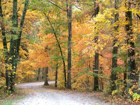 The Best Times And Places To View Fall Foliage In Missouri