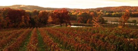 The Hidden Restaurant In Missouri That's Surrounded By The Most Breathtaking Fall Colors