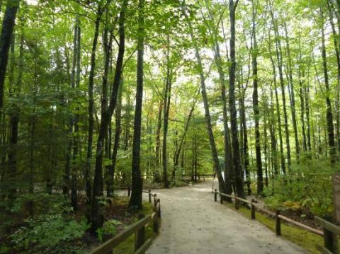 You've Probably Overlooked These 10 Little-Known Maine Hikes Hidden Under Your Nose