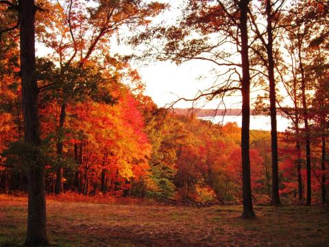 6 Short And Sweet Fall Hikes In Indiana With A Spectacular End View