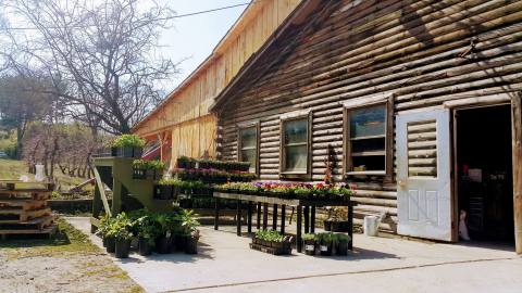 These 6 Charming Cideries In Maryland Will Have You Longing For Fall