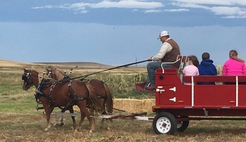 9 Picture Perfect Fall Day Trips To Take In Montana