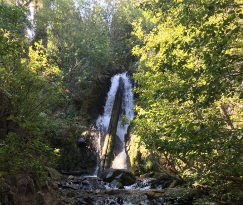 This Waterfall Hike In Nevada Belongs At The Top Of Your Bucket List