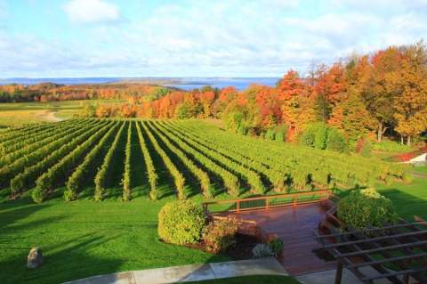 9 Beautiful Michigan Wineries That Are Pure Magic In The Fall