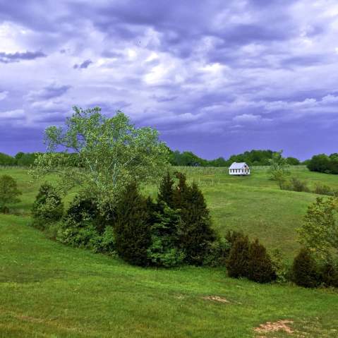 The Remote Winery In Louisville That's Picture Perfect For A Day Trip