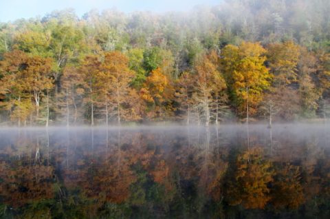 The Best Times And Places To View Fall Foliage In Oklahoma