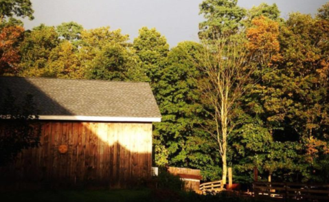 Once You Find This Secret Connecticut Chocolate Farm You'll Visit Again And Again