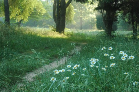 The Outdoor Discovery Park Near Louisville That’s Perfect For A Family Day Trip