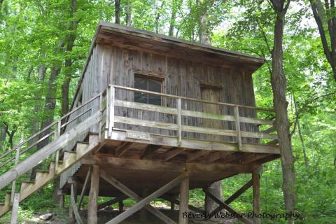 5 Treehouses Near Washington DC You Won't Believe