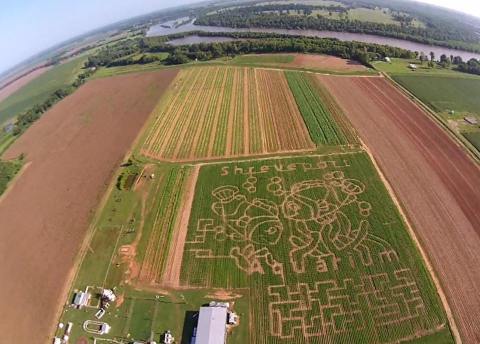 This Epic Month-Long Louisiana Festival Is Picture Perfect For Fall