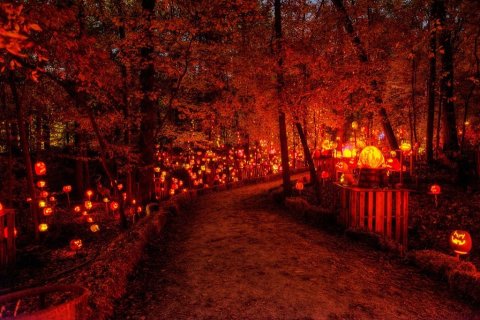 Don’t Miss The Most Magical Halloween Event In All Of Kentucky