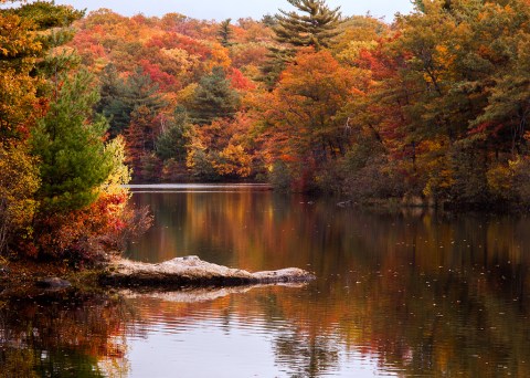 The One Hikeable Lake In Massachusetts That's Simply Breathtaking In The Fall