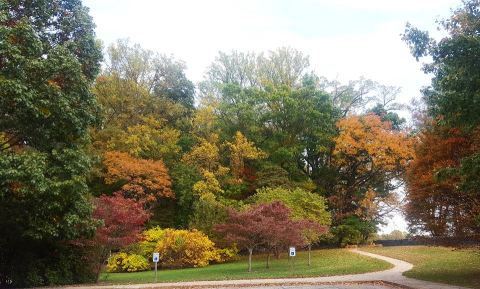 7 Short And Sweet Fall Hikes In Delaware With A Spectacular End View