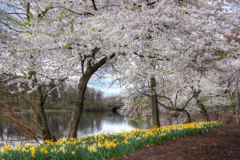 Most People Don't Realize An Underground River Flows Right Through New Jersey