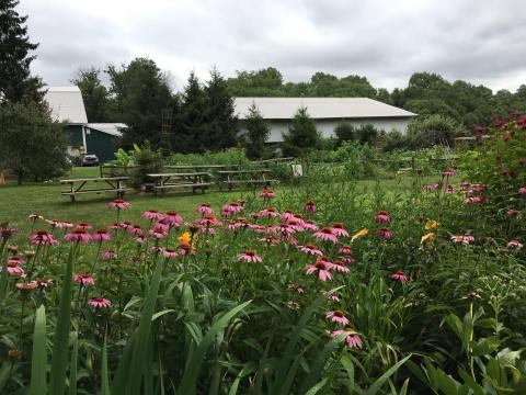 You’re Guaranteed To Love A Trip To This Epic Cheese Farm Near Philadelphia