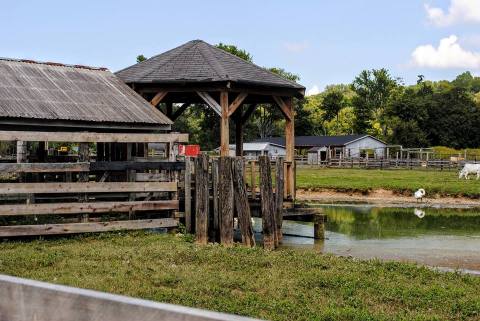 You’ll Never Forget A Visit To This One Of A Kind Wildlife Park Near Louisville