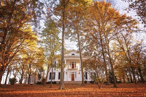 You May Not Know The Surprising Hollywood Connection To This Elegant Kentucky Bed and Breakfast