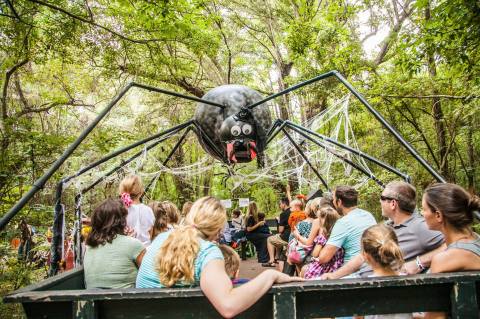 11 Picture Perfect Fall Day Trips To Take In South Carolina