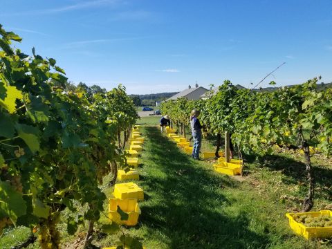 The Remote Winery Near Columbus That's Picture Perfect For A Day Trip