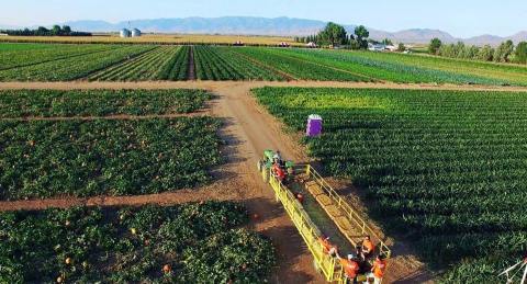 These 7 Cozy Hayrides In Arizona Are Picture Perfect For An Autumn Day