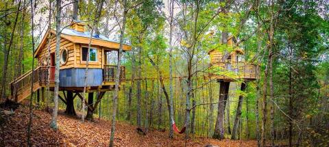 Climb Through The Trees And Then Spend The Night In Them At This Epic Treetop Destination In Kentucky