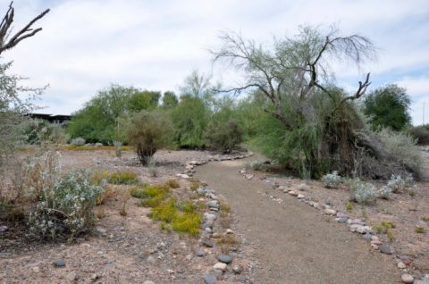 The Outdoor Discovery Park In Arizona That’s Perfect For A Family Day Trip