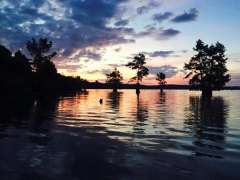 7 Short And Sweet Fall Hikes In Louisiana With A Spectacular End View