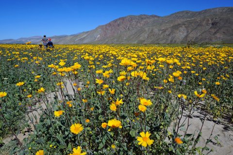 Here Are 9 Things Everyone In Southern California Absolutely Loves