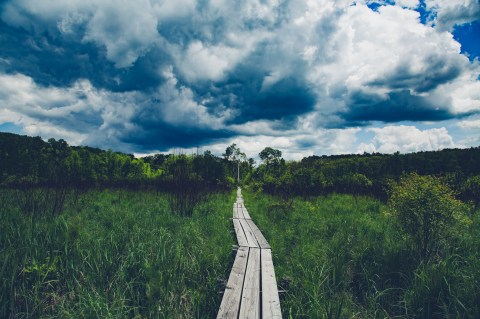 These 10 Minnesota Hiking Trails Lead To Some Incredible Pieces Of History