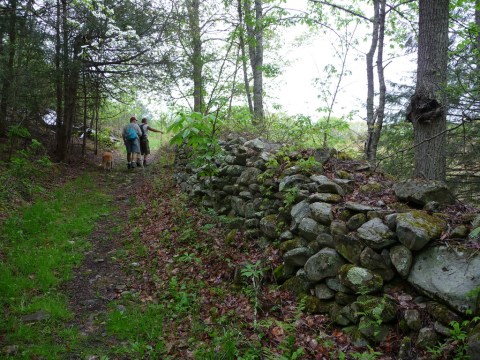 This Epic Hike In North Carolina Will Take You To A Terrifying Ghost Town